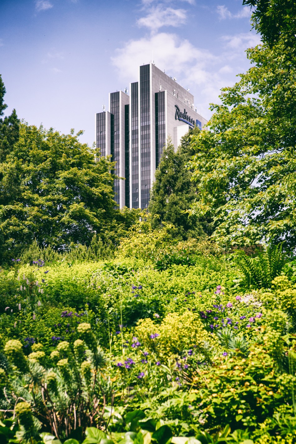 Park nahe der Innenstadt