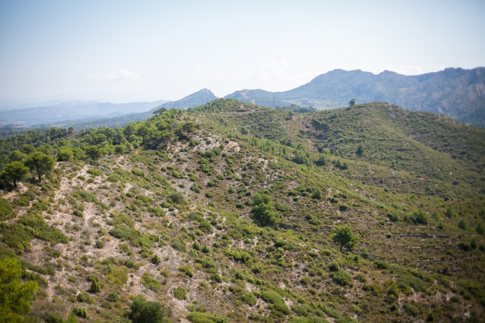 Hill 481