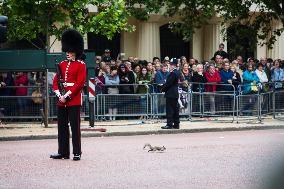 Trooping The Colour 2015 in London.