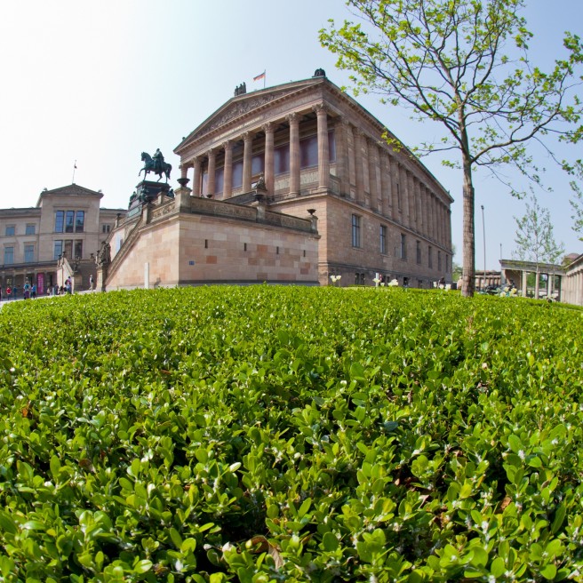 Berlin mit Fischauge