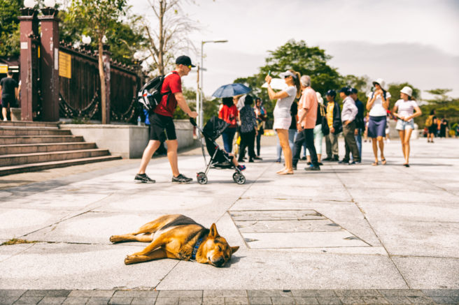 Hong Kong