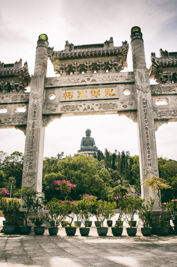 Hong Kong Buddha