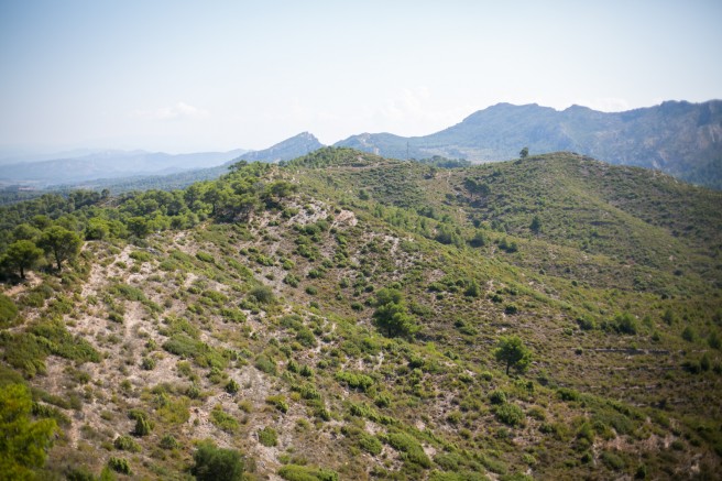 Hill 481