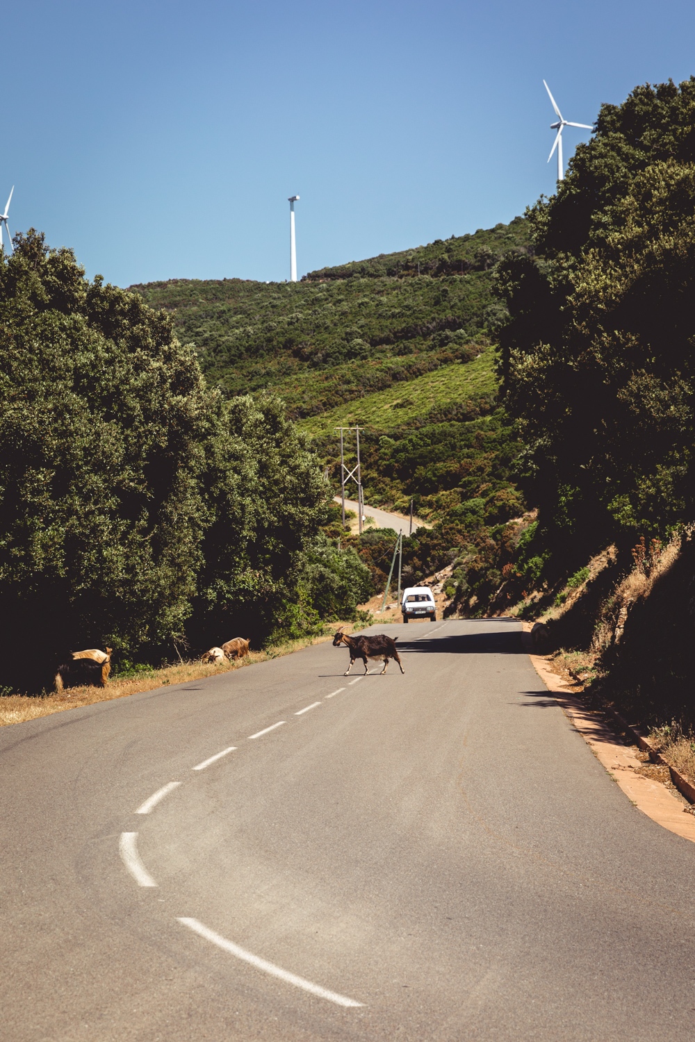 Motorrad-Tour in Korsika im Juni 2019