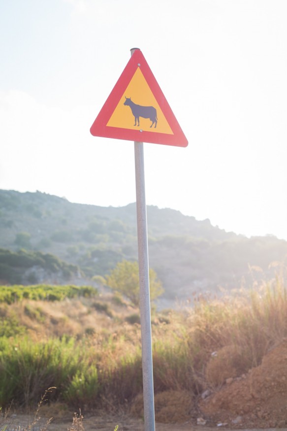 Verkehrsschild auf Kreta