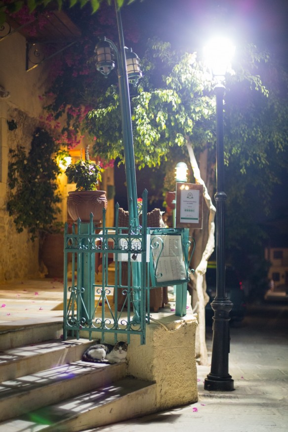 Katze auf Kreta