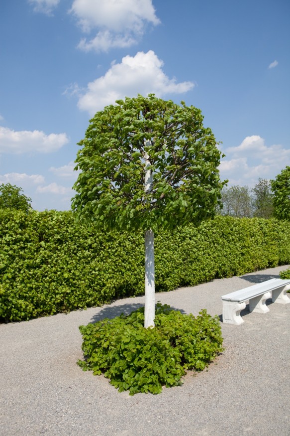 Schloss Hof