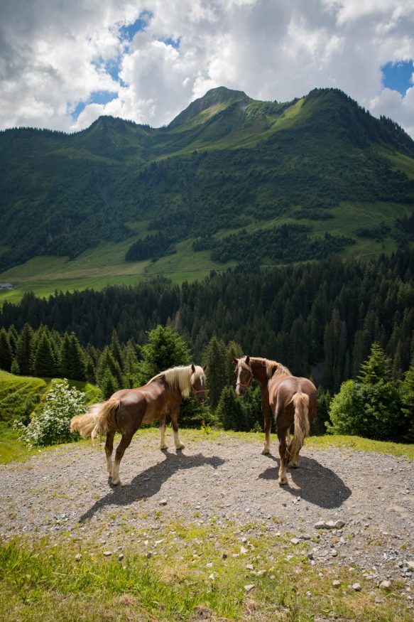 Motorradtour in Vorarlberg