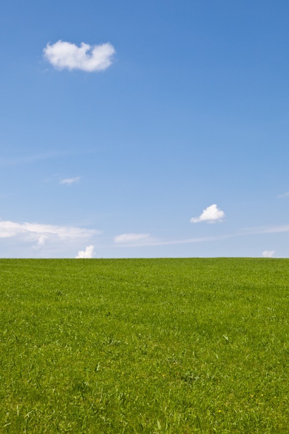 Wiese und Himmel in Salzburg.